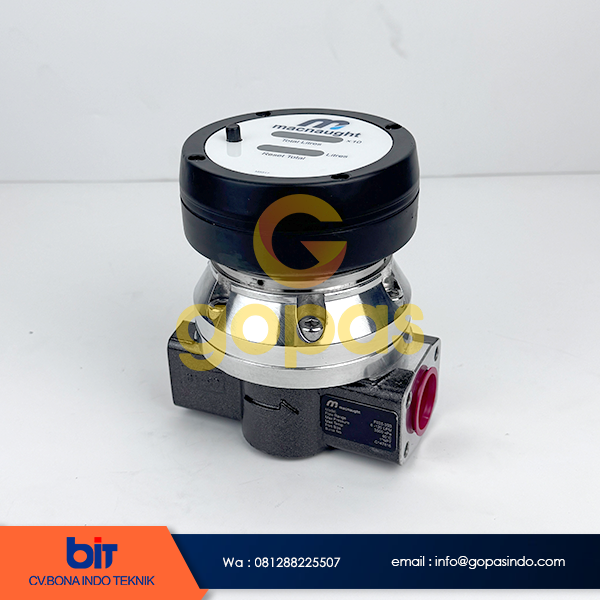 Flow Meter Macnaught F025-3S3, Macnaught flow meter 1 inch